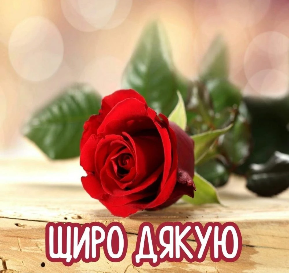 Слова подяки хорошій людині: як сказати щиро і точно